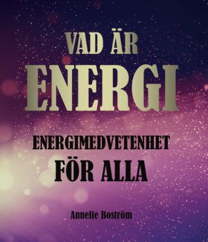 Vad är energi : energimedvetenhet för alla