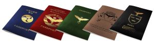 International Passport Set