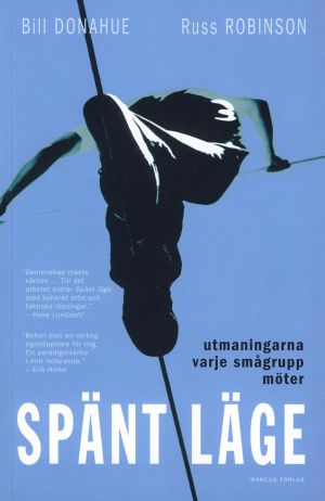 Spänt läge : utmaningarna varje smågrupp möter