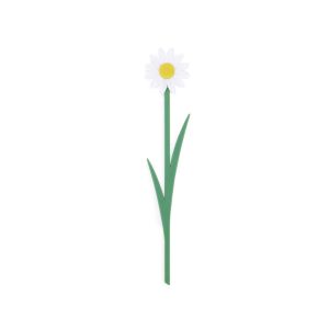 Bokmärke Blomma, Prästkrage Vit
