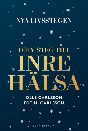 Nya livsstegen : tolv steg till inre hälsa