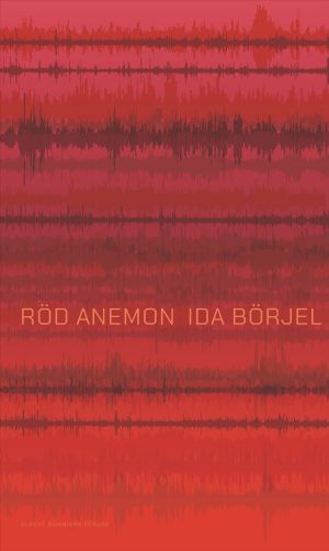 Röd anemon