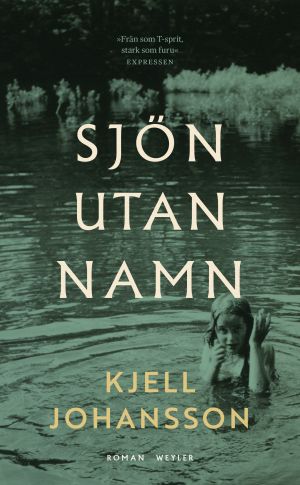 Sjön utan namn : De utsatta