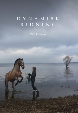 Dynamisk ridning