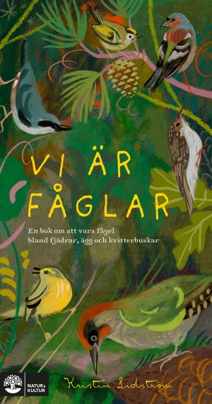Vi är fåglar : en bok om att vara fågel bland fjädrar, ägg och kvitterbuskar
