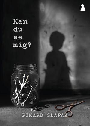 Kan du se mig?