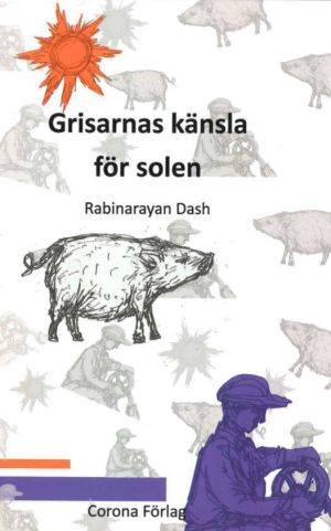 Grisarnas känsla för solen