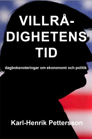 Villrådighetens tid  : dagboksnoteringar om ekonomi och politik