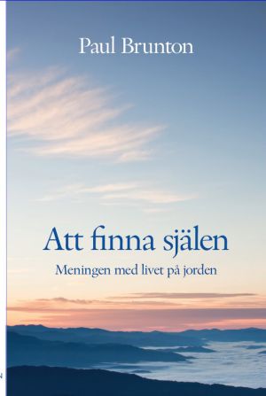 Att finna själen : Meningen med livet på jorden
