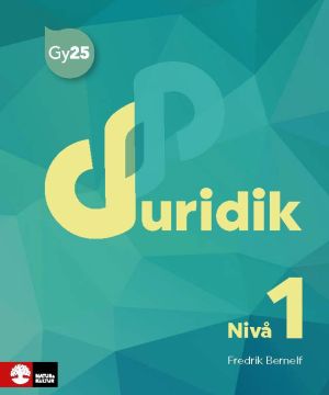 Juridik nivå 1