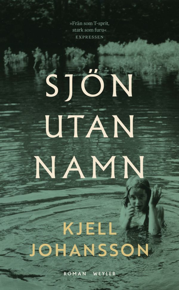 Sjön utan namn : De utsatta