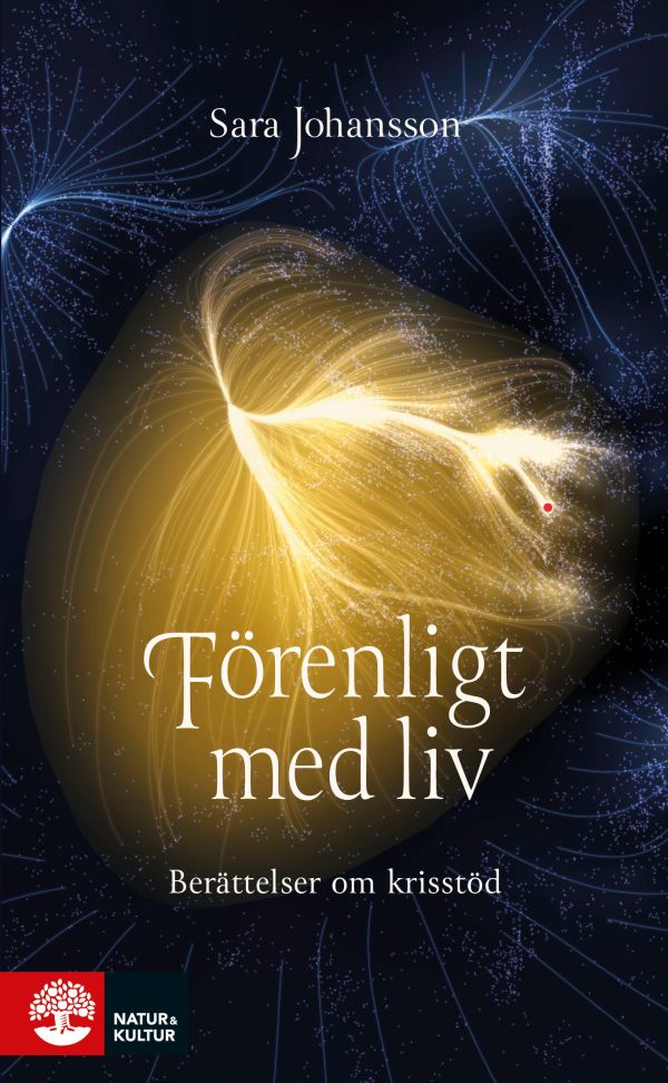 Förenligt med liv : berättelser om krisstöd