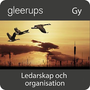 Ledarskap och organisation, digitalt, lärare, 12 mån
