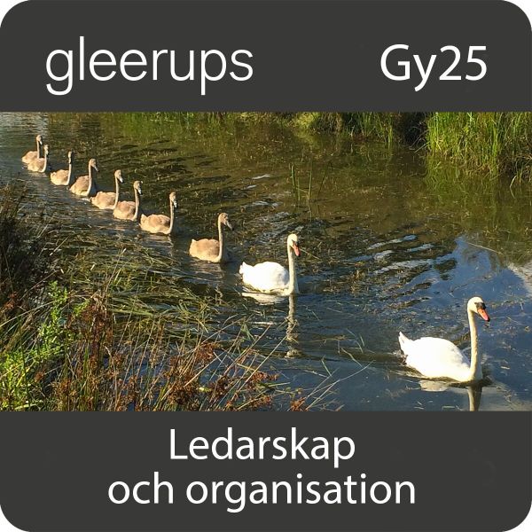 Ledarskap och organisation, digitalt, elev, 6 mån, Gy25