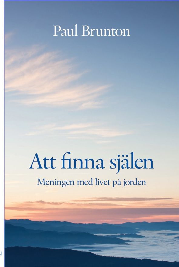 Att finna själen : Meningen med livet på jorden