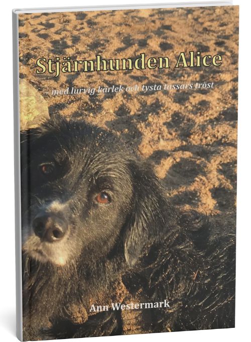 Stjärnhunden Alice : med lurvig kärlek och tysta tassars tröst