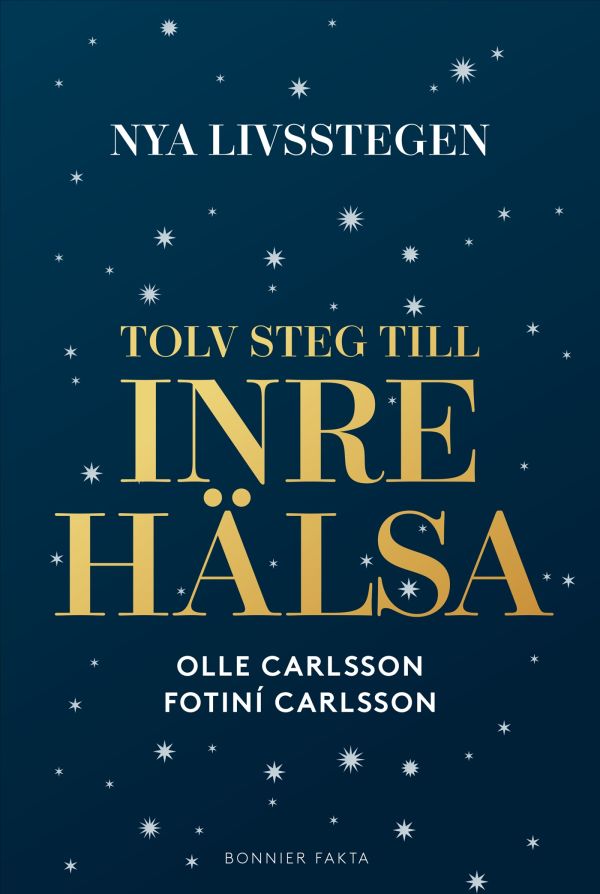 Nya livsstegen : tolv steg till inre hälsa