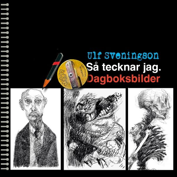 Så tecknar jag : dagboksbilder