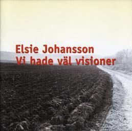 Vi hade väl visioner