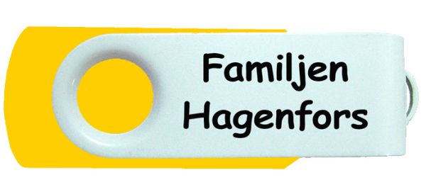 Familjen Hagenfors USB