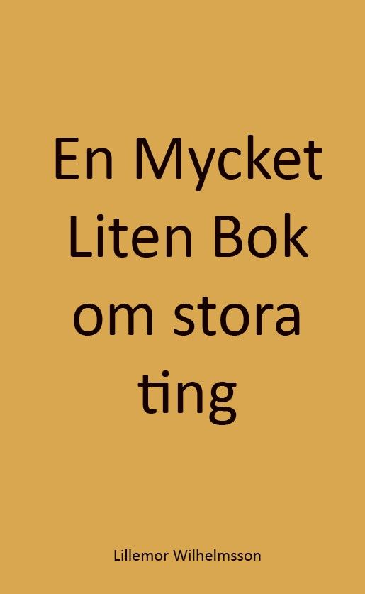 En mycket liten bok om stora ting