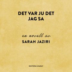 Det var ju det jag sa
