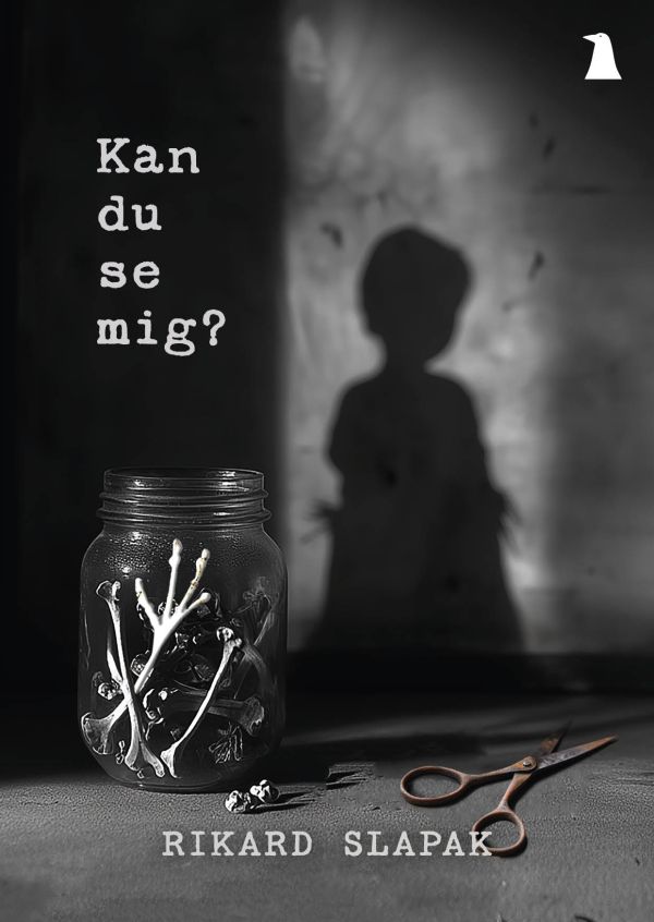 Kan du se mig?