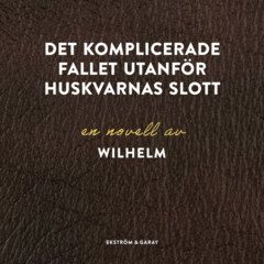 Det komplicerade fallet utanför Huskvarnas slott
