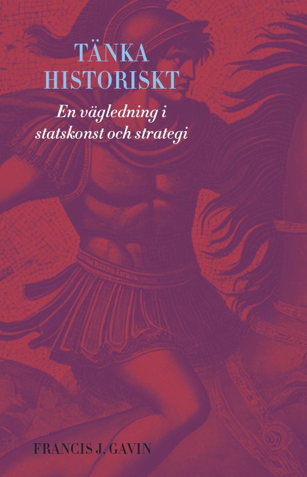 Tänka historiskt : en vägledning i statskonst och strategi