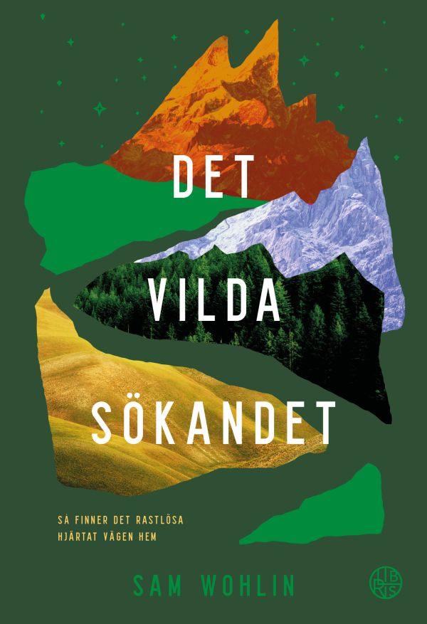Det vilda sökandet : så finner det rastlösa hjärtat vägen hem