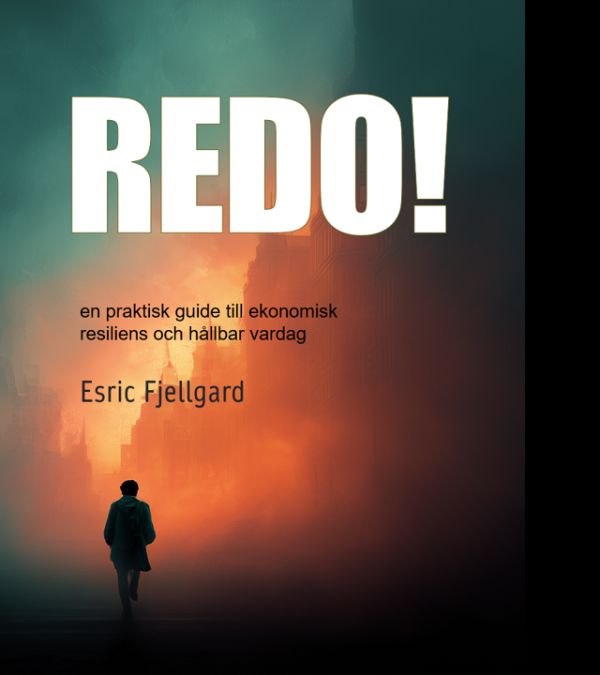Redo! : en praktisk guide till ekonomisk resiliens och hållbar vardag