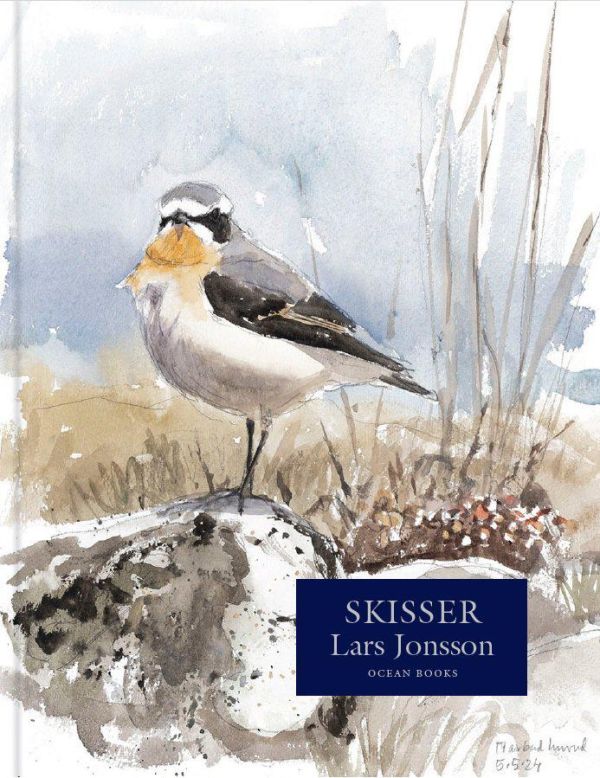 Skisser