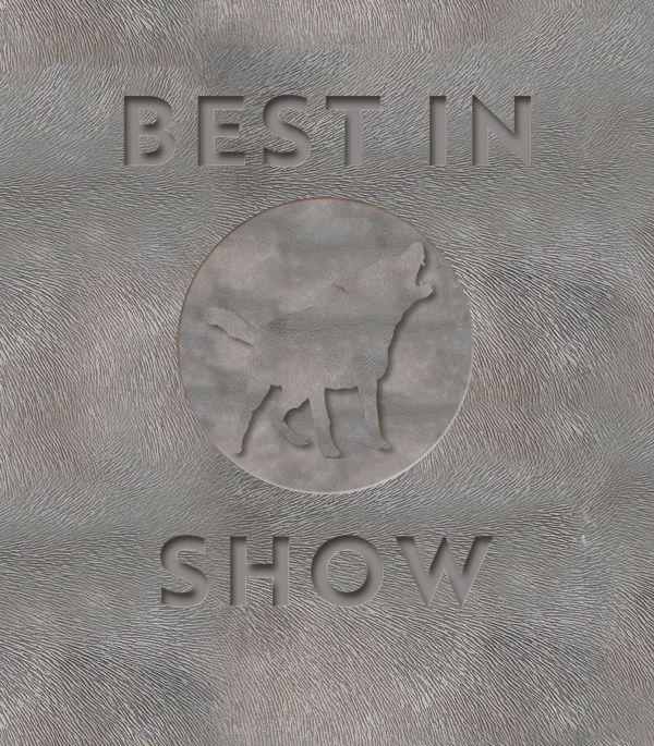 Best in Show : hundar i konst och litteratur