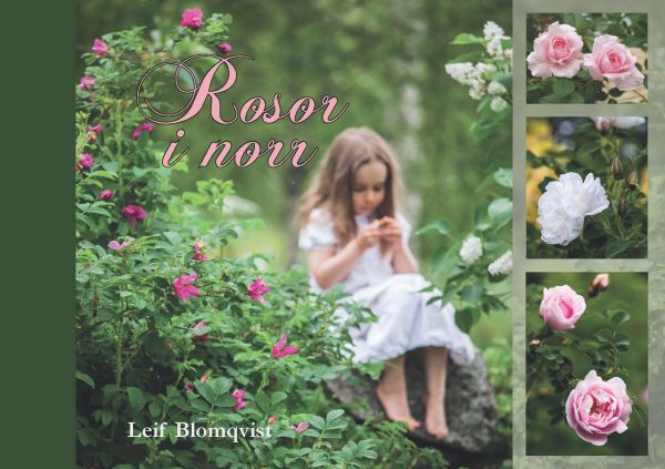 Rosor i norr